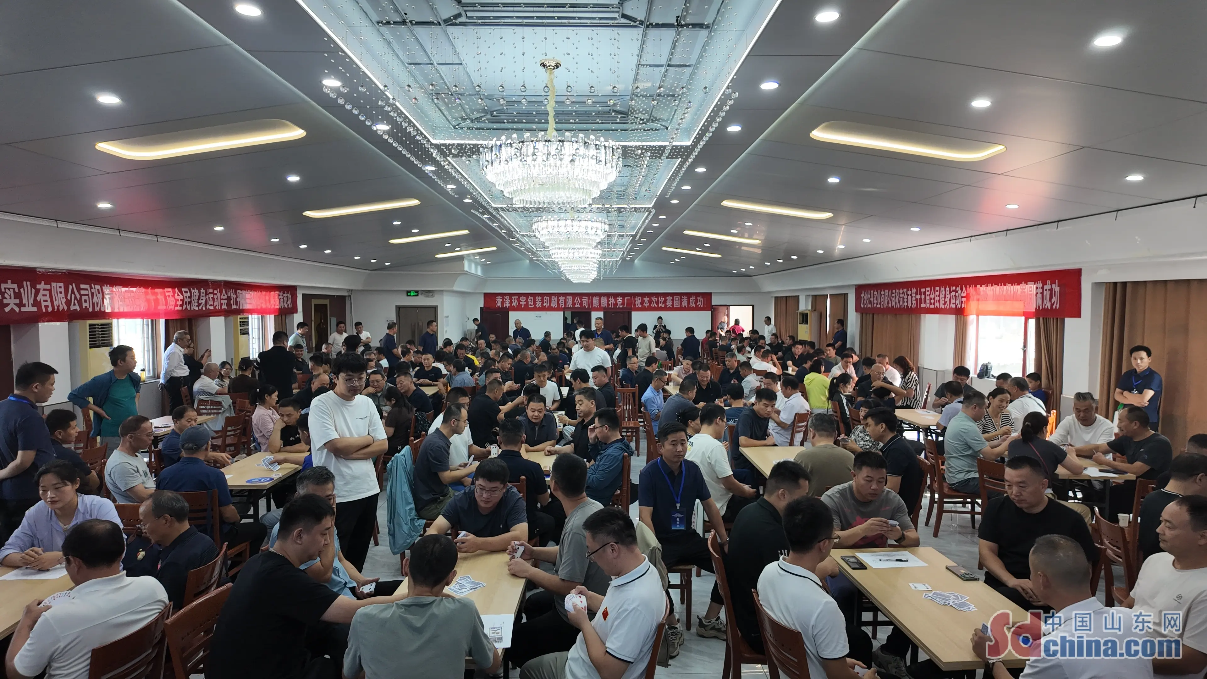 宣布比赛开, 牡丹醉, 效有序的赛